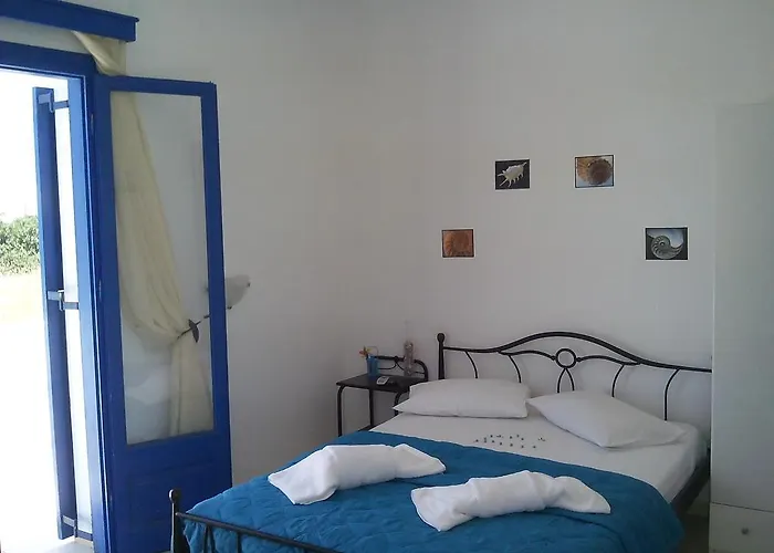 Vigles * آداماس